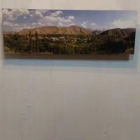 تابلو عکس