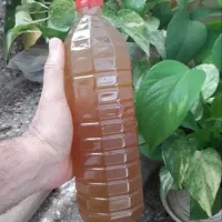 سرکه انگبین ۱۲گیاه رازیانه ای ویژه بانوان