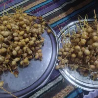 خارک برحی قیمت مناسب