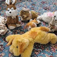 عروسک|اسباببازی بچه|قزوین, |دیوار