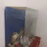اکفاریوم
