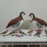 مجسمه سهره پرنده کبک کادو هدیه