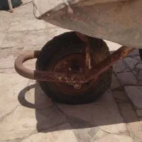 فرغون