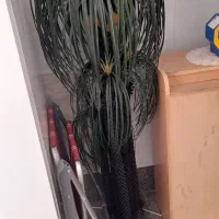 ۲ عدد درختچه مصنوعی
