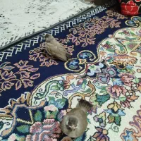 09395468147|سیمکارت|شادگان, |دیوار