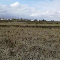 زمین-زراعی-در-فاز-3-شهر-جدید-سهند