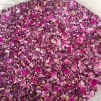 گل محمدی