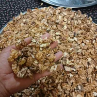 تازه وواس هستن