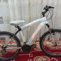 دوچرخه ویوا 26