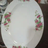 ظروف چینی گلسرخی