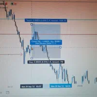 آموزش جامع کار در بازار جهانی فارکس و ارز دیجیتال