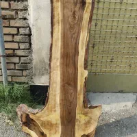 چوب گردو سیاه