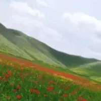سفروگردش