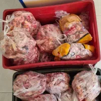 ضایعات استخوانی گوشت دار و بدون چربی