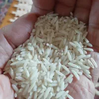 برنج