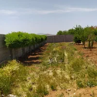 باغچه هزار متری سپیدان