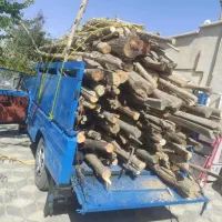چوب برش انواع درختان شماباتضمین قیمت سردار