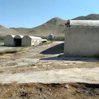 نیازمند کارگر مرغداری گوشتی
