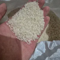 برنج هاشمی محلی درجه یک