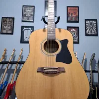 گیتار آکوستیک آیبانز Ibanez V50NJP  NT