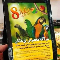 سرلاک طوطی سانان عروس گرینچیک راهب و...