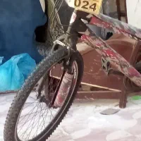 دوچرخه ۲۱|دوچرخه، اسکیت، اسکوتر|شیراز, صاحب الزمان|دیوار