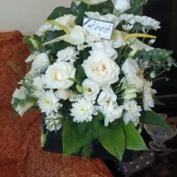 باکس گل