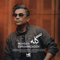 محسن ابراهیم زاده