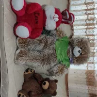 عروسک|اسباب‌‌بازی|کرمانشاه, |دیوار