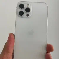 12 pro max