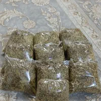 اسپند|خوردنی و آشامیدنی|قم, شهرک فاطمیه|دیوار