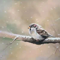 نقاشی پرنده و برف