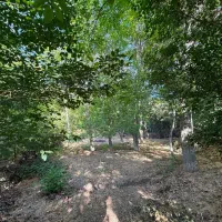باغچه در دماوند