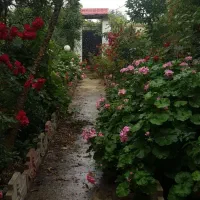 فروش ویلا
