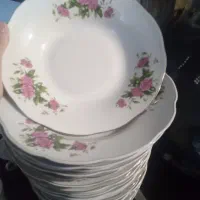 بشقاب گود  غذا