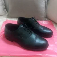 کفش مجلسی