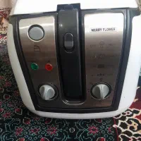 سرخکن روغنی