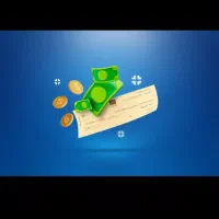 ضامن رتبه b چک دار