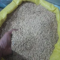جو و گندم دیم خریدارم .