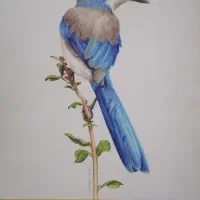 دفتر طراحی a3