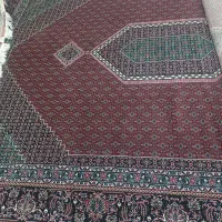 یک جفت ۳در۴ ماهی گل ابرشم