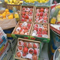 کارگر میوه فروشی