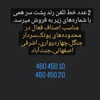 خط تلفن بسیار رند پشت سر همی
