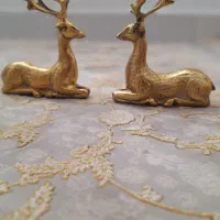 فروش ۲ عدد گوزن برنج