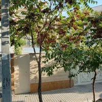 ۳۶۰متر در ۳طبقه دربست خیابان حافظ تهران نو