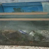 آکواریم