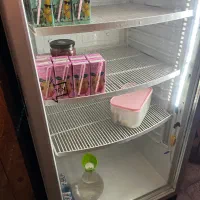 بچخال ایستاده kino