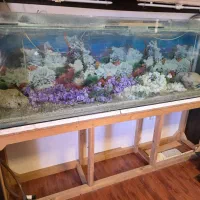 فروش آکواریوم