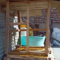 قفس مرغ خروس