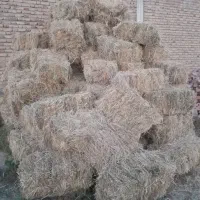 فروش یونجه پرس